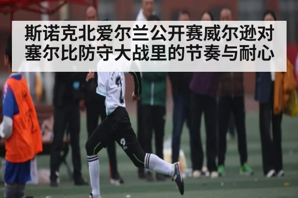 斯诺克北爱尔兰公开赛威尔逊对塞尔比防守大战里的节奏与耐心